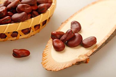 XGP二月新增游戏游戏阵容 《穿越火线X》等